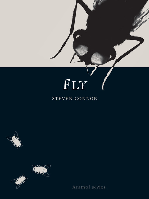 Title details for Fly by Steven Connor - Available